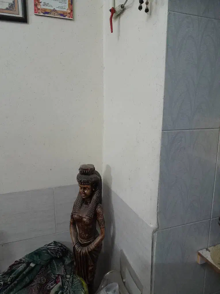 مجسمه|مجسمه، تندیس، ماکت|شیراز, پودنک|دیوار