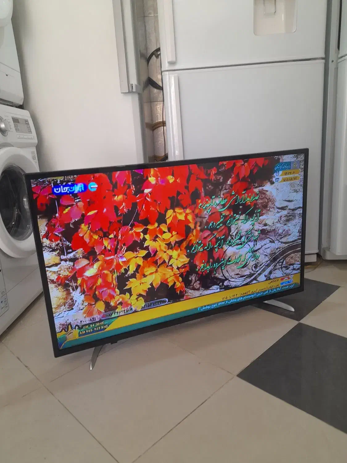 دوو ۴۳اینچ تمیز|تلویزیون و پروژکتور|سنندج, |دیوار