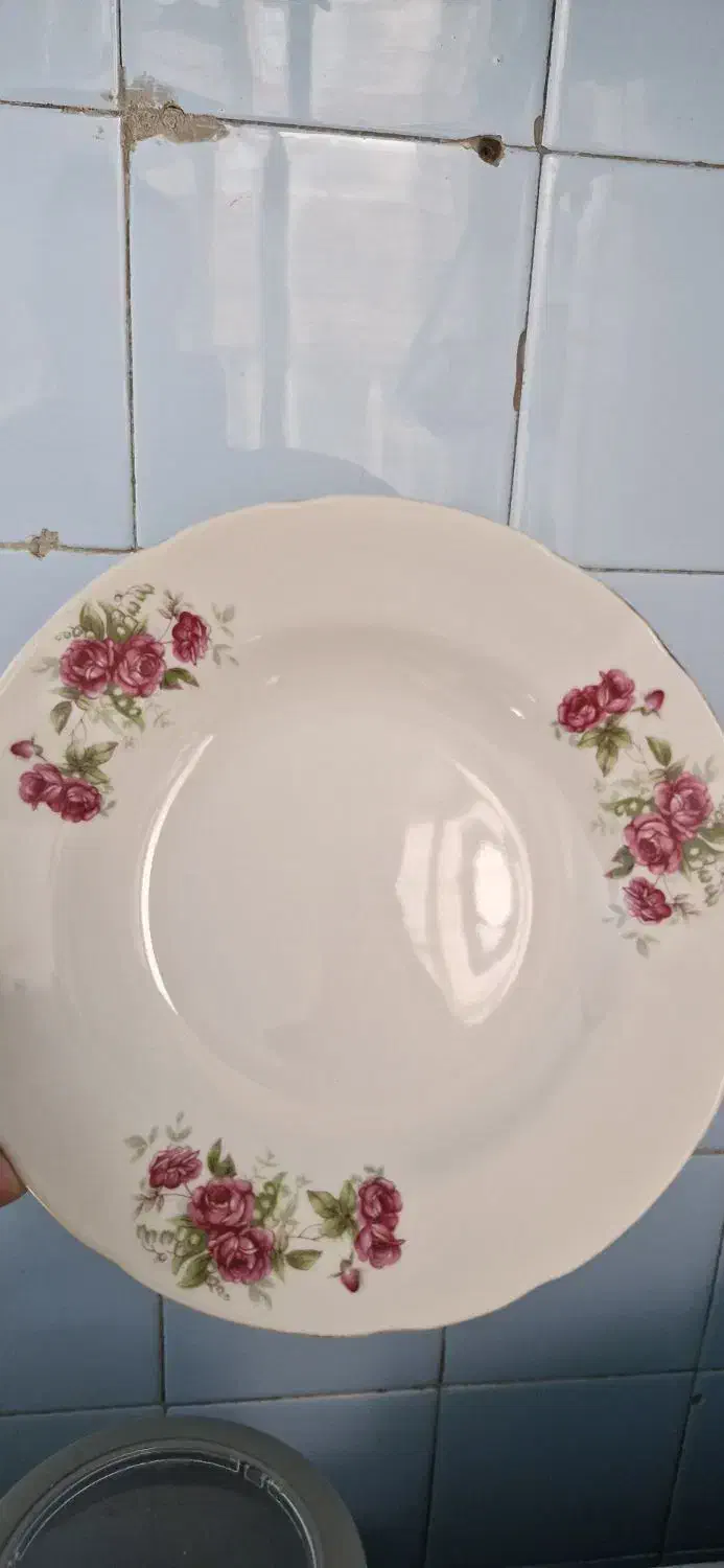 بشقاب غذا خوری و سوپ خوری|ظروف سرو و پذیرایی|تهران, زرکش|دیوار