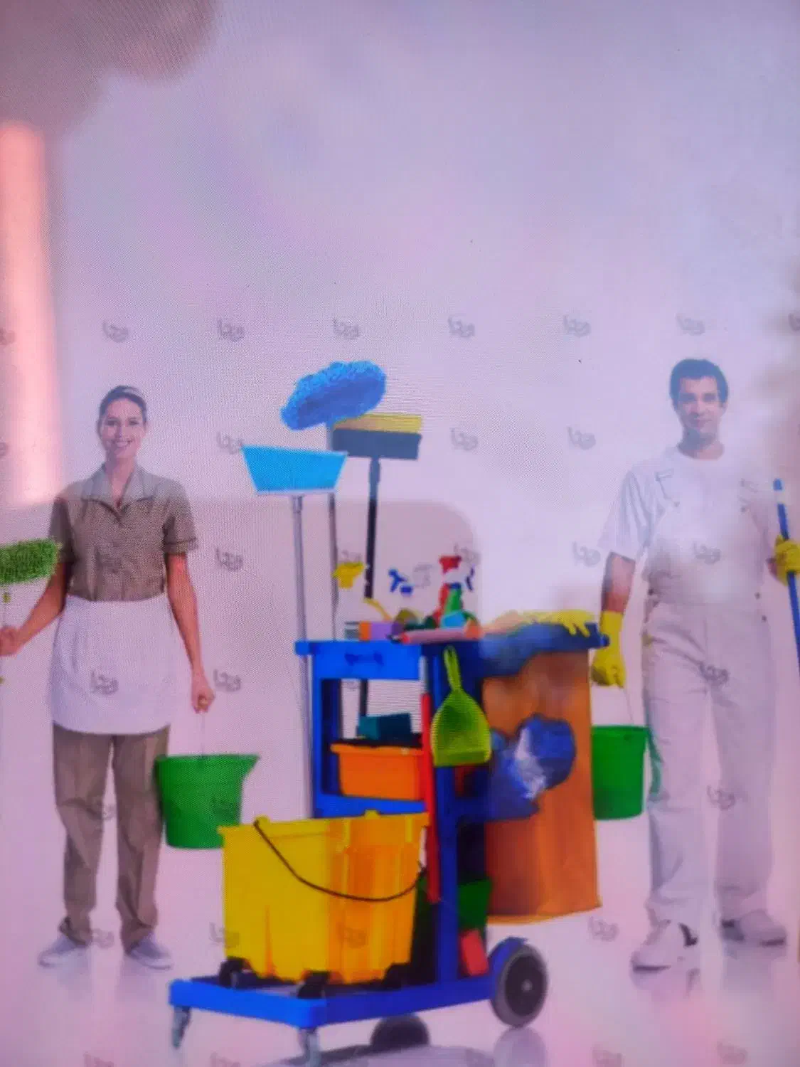 خدمات نظافت وبسته بندی و چیدمان و سرویس پله|خدمات نظافت|تربت‌حیدریه, بوستان باغ ملی|دیوار