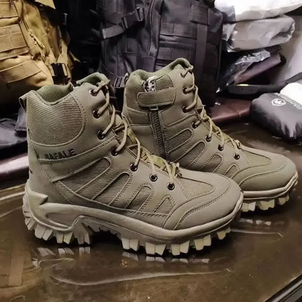 رافائل اورجینال|کیف، کفش، کمربند|ماکو, |دیوار