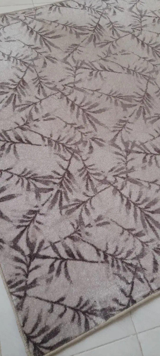 موکت و گلیم|موکت|کرمانشاه, |دیوار