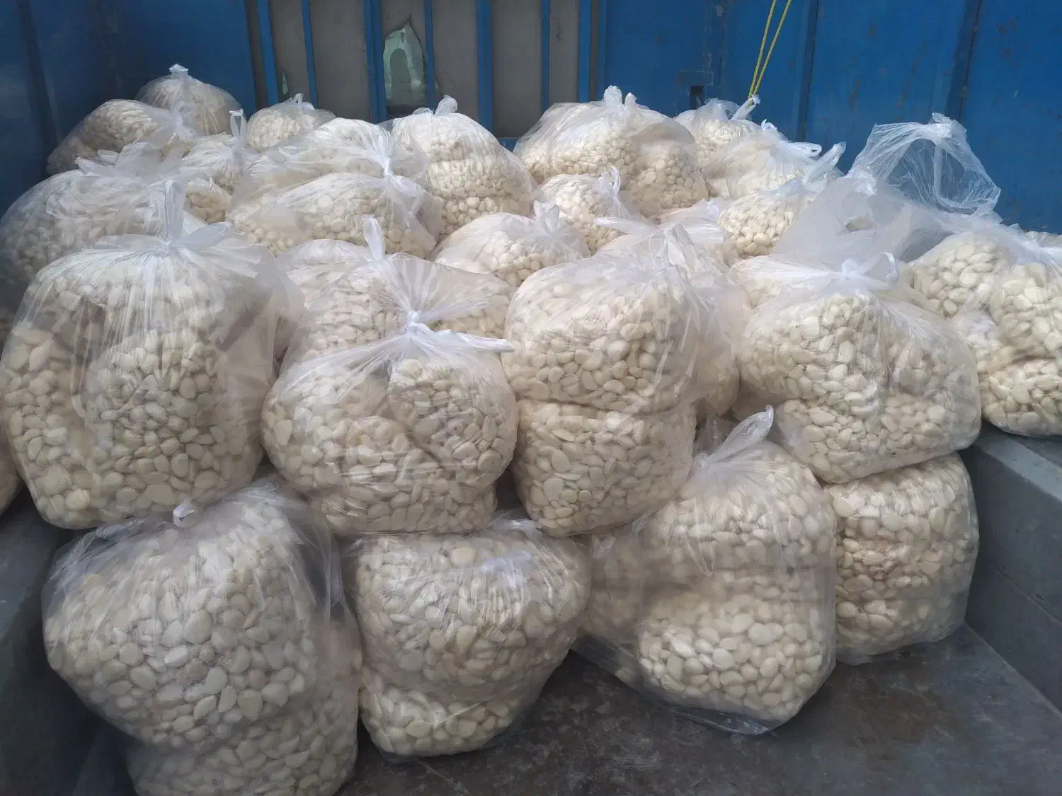 پخش باقالی نخود ذرت|خوردنی و آشامیدنی|نسیم‌شهر, |دیوار