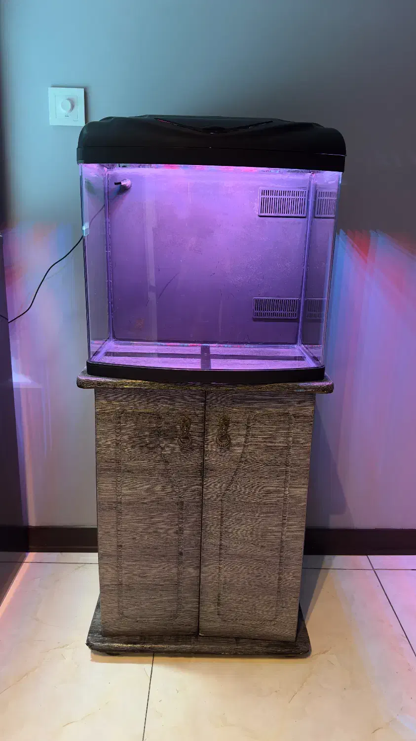 آکواریوم بک سامپ شرکتی با پایه|ماهی|تهران, آسمان|دیوار