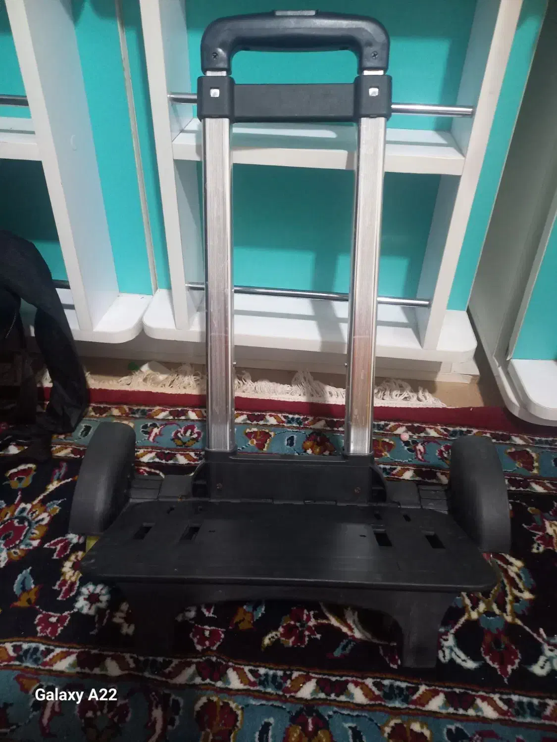 چرخ کیف|کیف، کفش، کمربند|ساوه, |دیوار