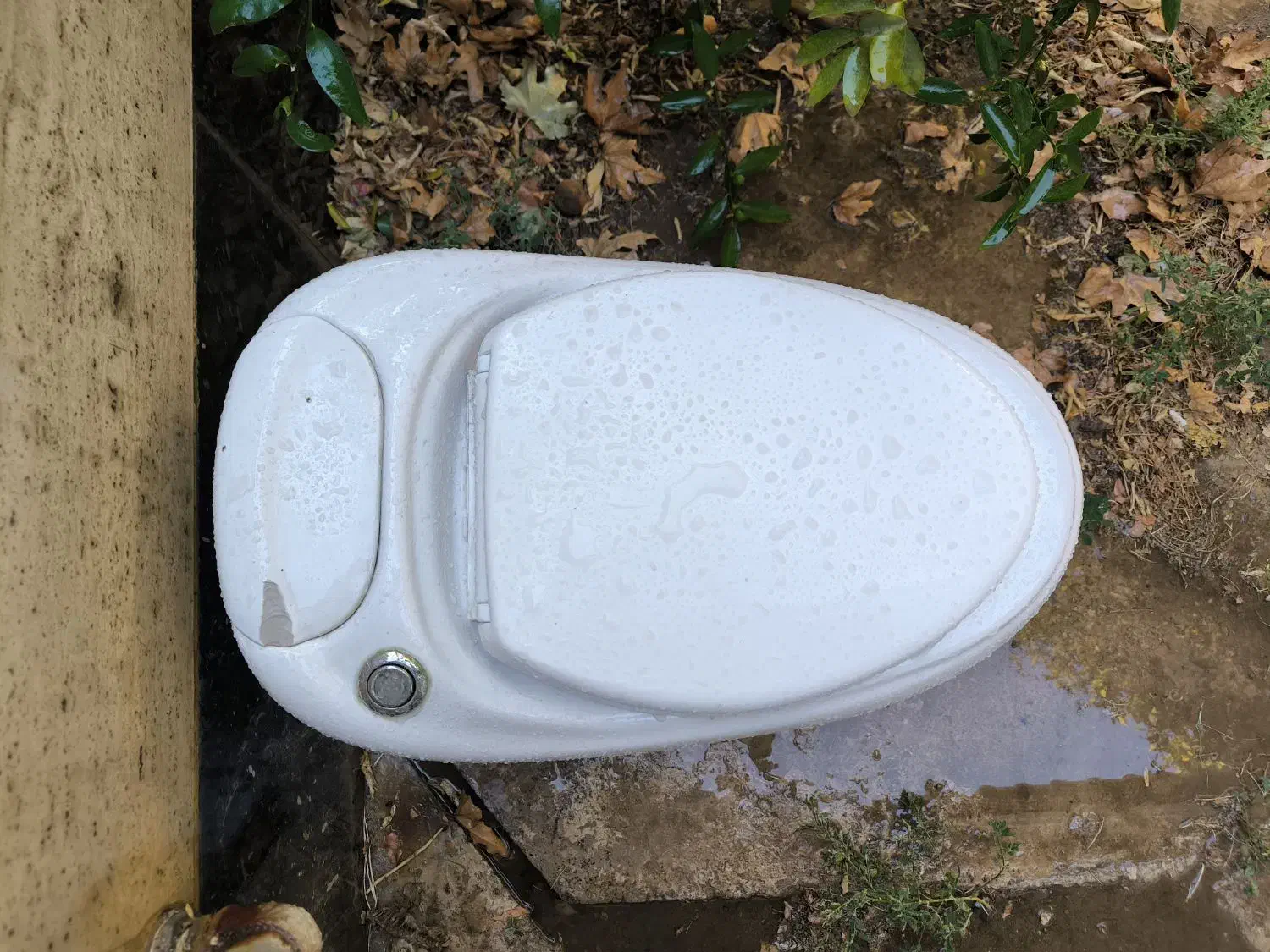 فروش سنگ توالت فرنگی در حد نو|لوازم سرویس بهداشتی|شیراز, کلاهدوز|دیوار