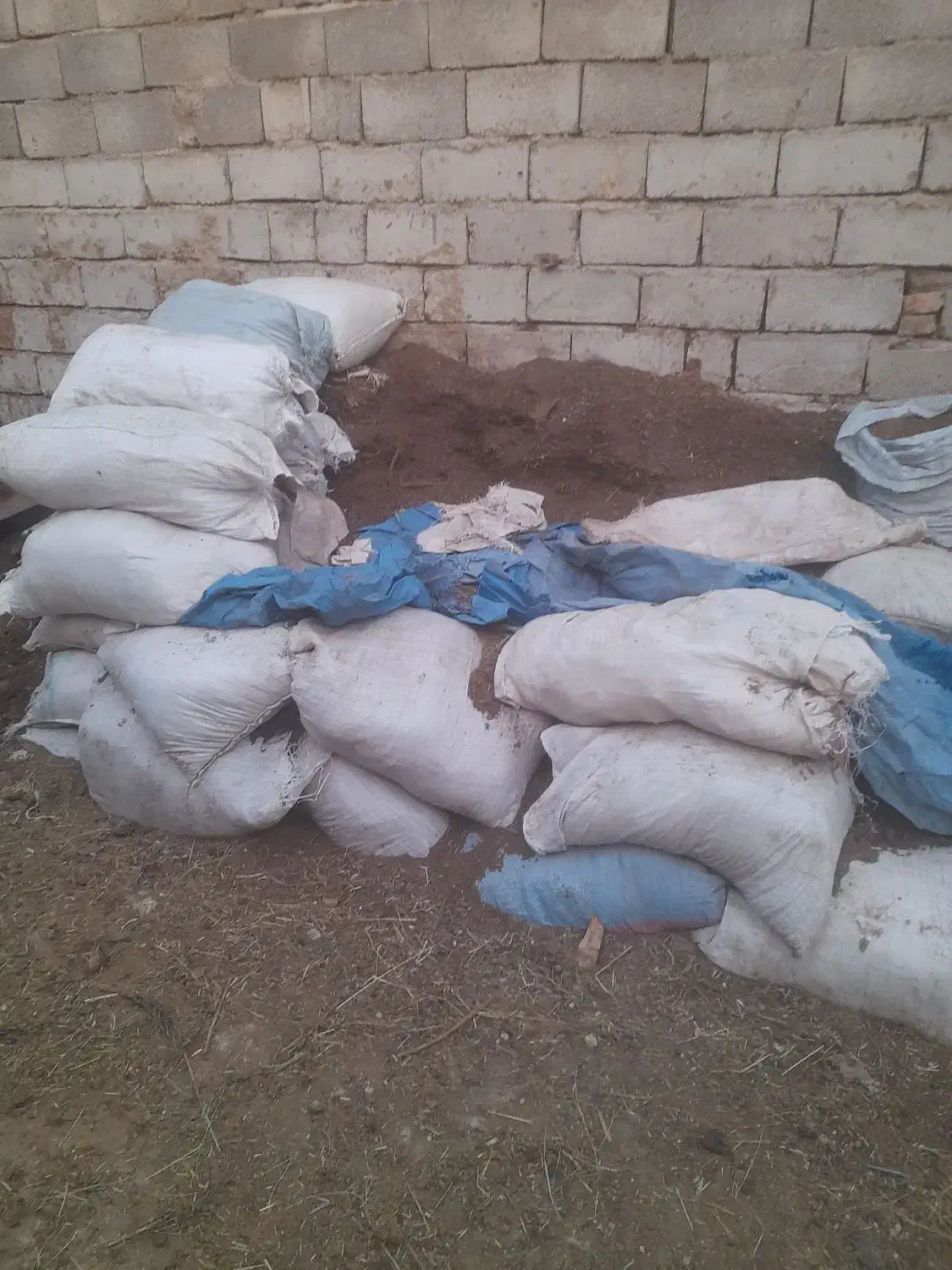 کود کهنه|گل و گیاه طبیعی|خسروشاه, |دیوار