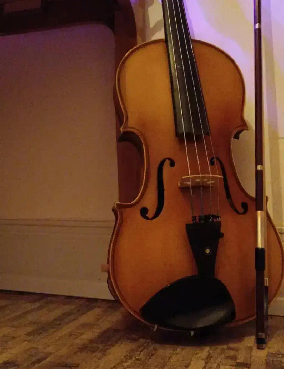 ویالون TF142 4/4|ویولن|شیراز, دشت چنار|دیوار