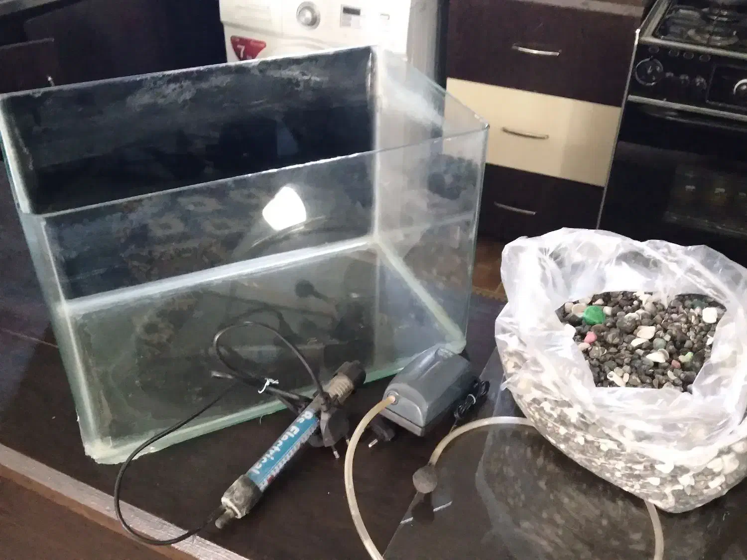 اکواریم|ماهی|شیراز, جوادیه|دیوار