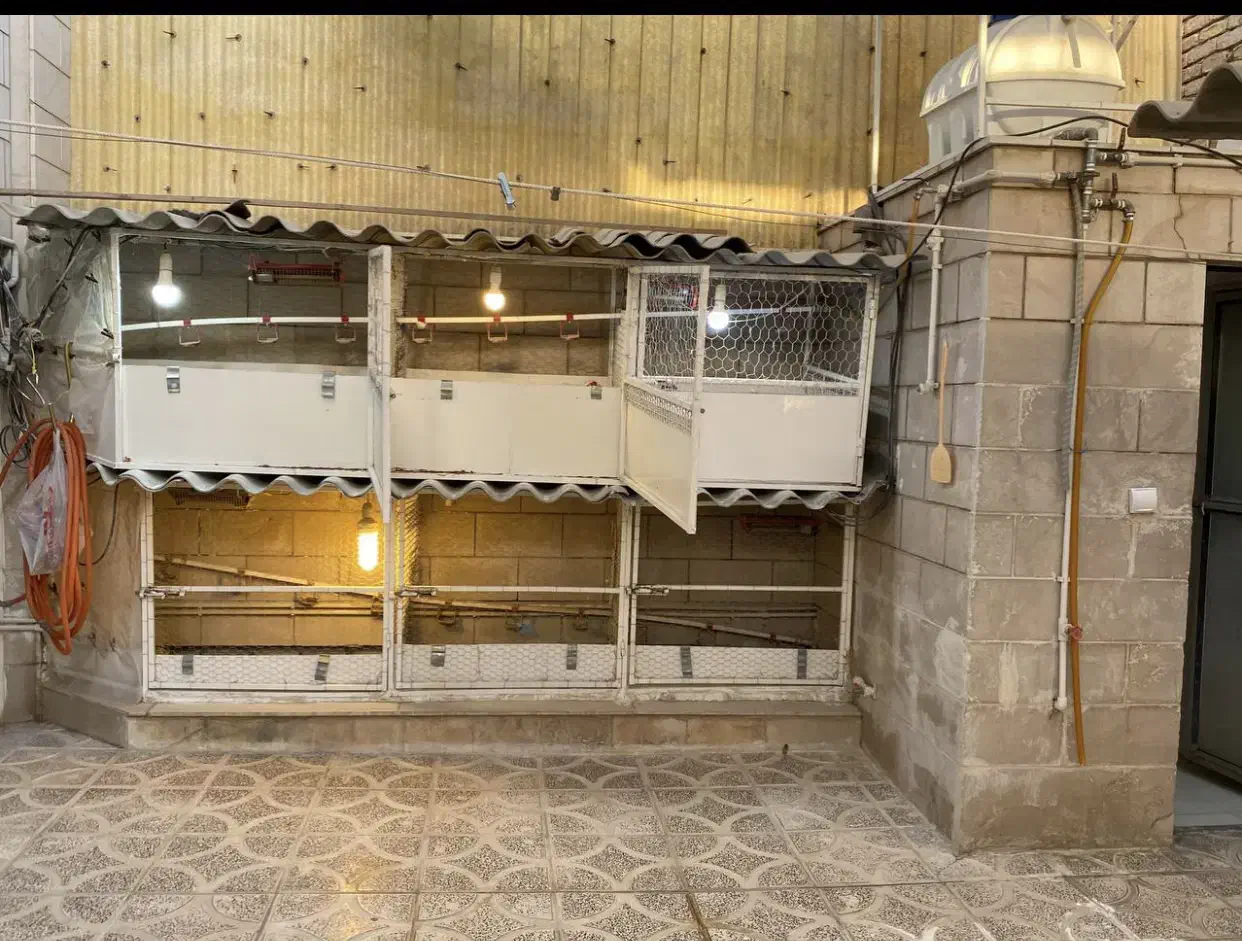 قفس|لوازم جانبی حیوانات|کرمانشاه, |دیوار