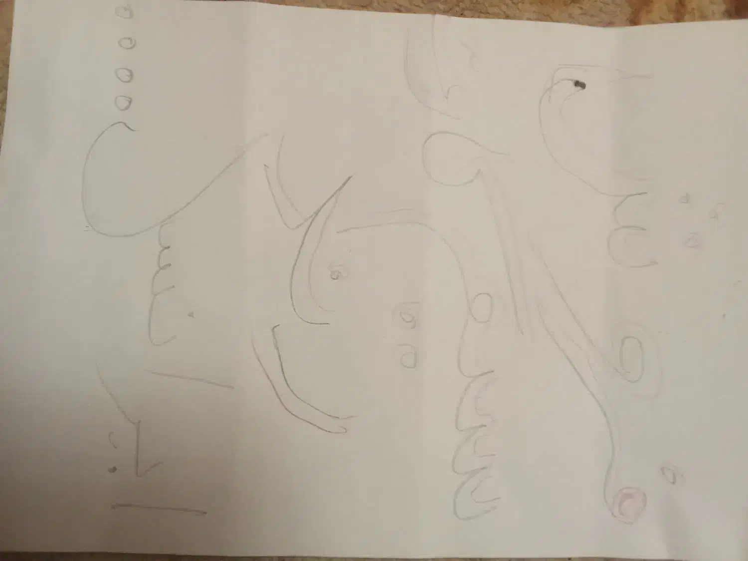 سیم کارت رند|سیم‌کارت|خمینی‌شهر, |دیوار