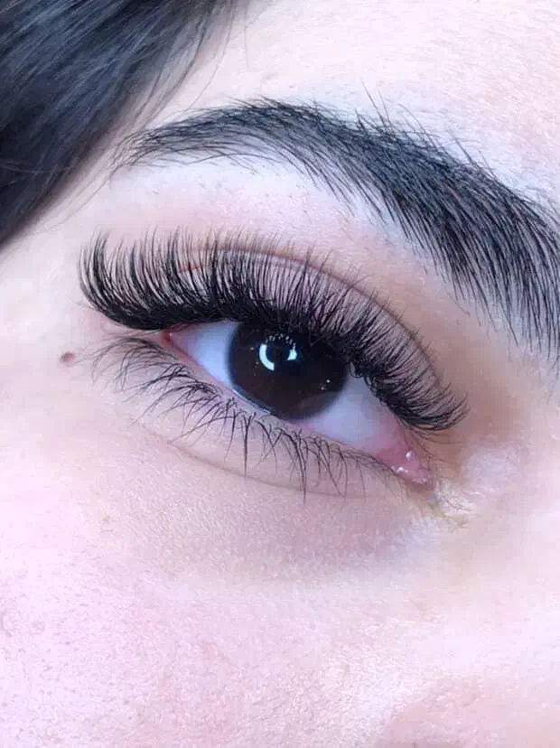 لیفت ابرو و مژه|خدمات آرایشگری و زیبایی|سبزوار, عظیمیان|دیوار