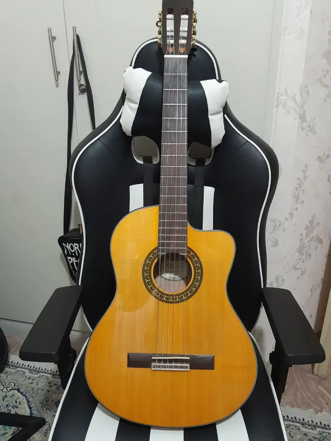 گیتار اندرس پیکاپ خور|گیتار، بیس، امپلیفایر|شیراز, میانرود|دیوار