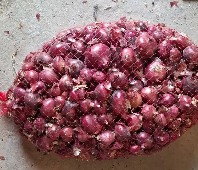 فروش پیاز قرمز|خوردنی و آشامیدنی|دشتابی, |دیوار