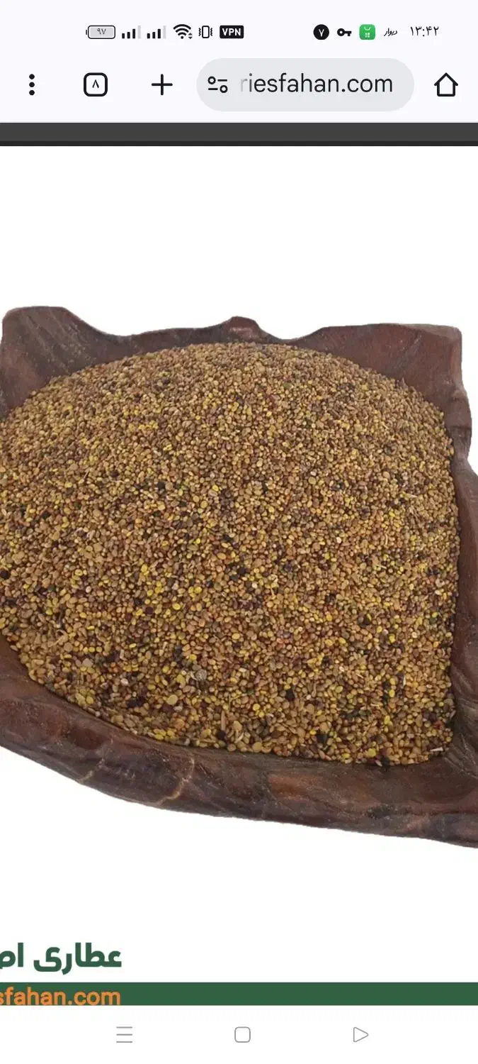 بذر شبدر|گل و گیاه طبیعی|صحنه, |دیوار