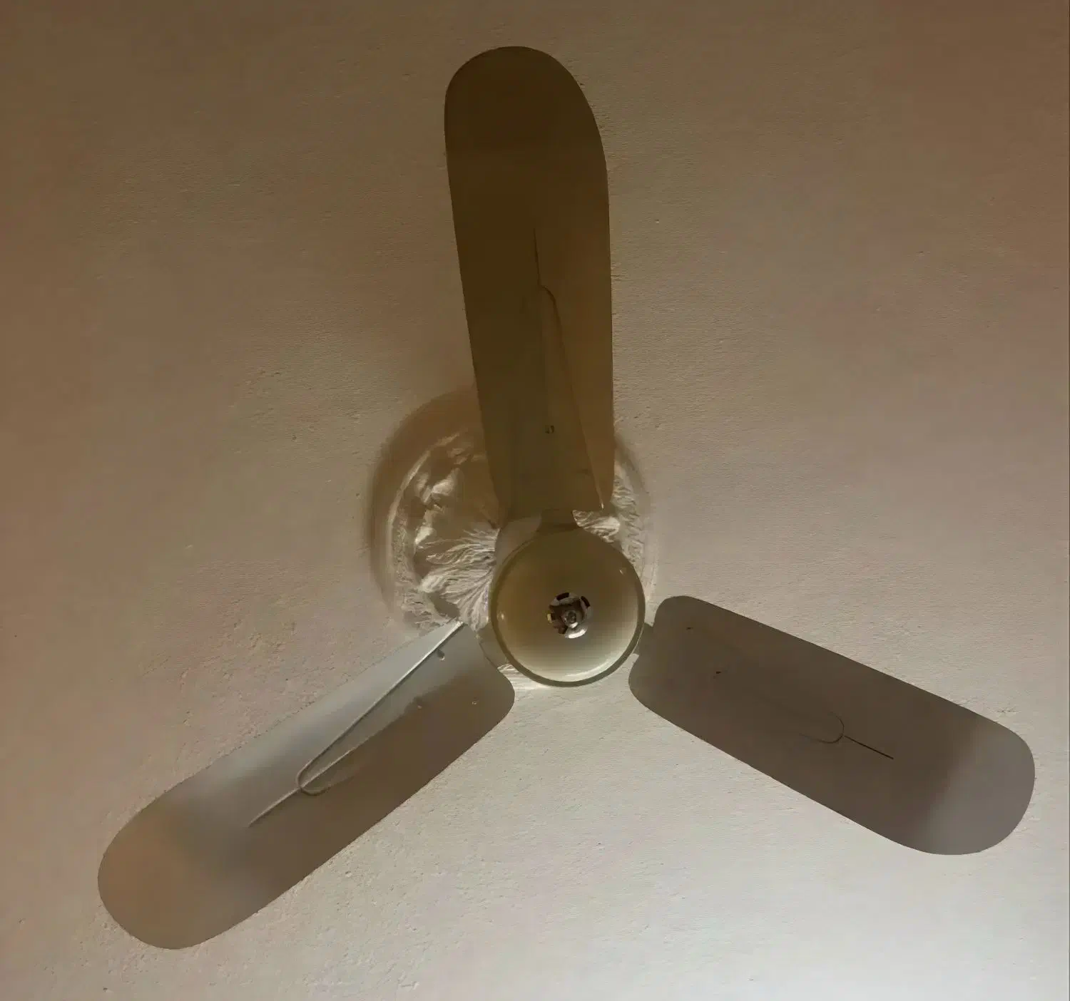 کالای منزل... پنکه و باک|حراج|شوشتر, |دیوار