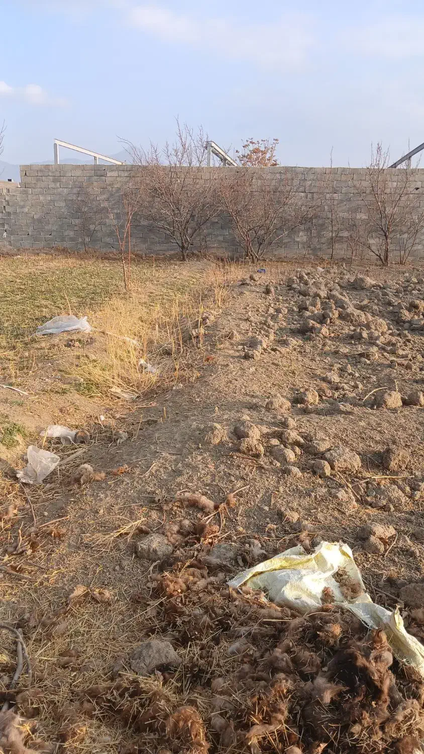 فروش زمین|فروش زمین و ملک کلنگی|ملایر, |دیوار