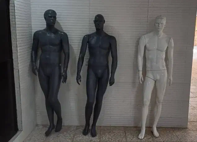 مانکن مردانه|فروشگاه و مغازه|کرمانشاه, |دیوار