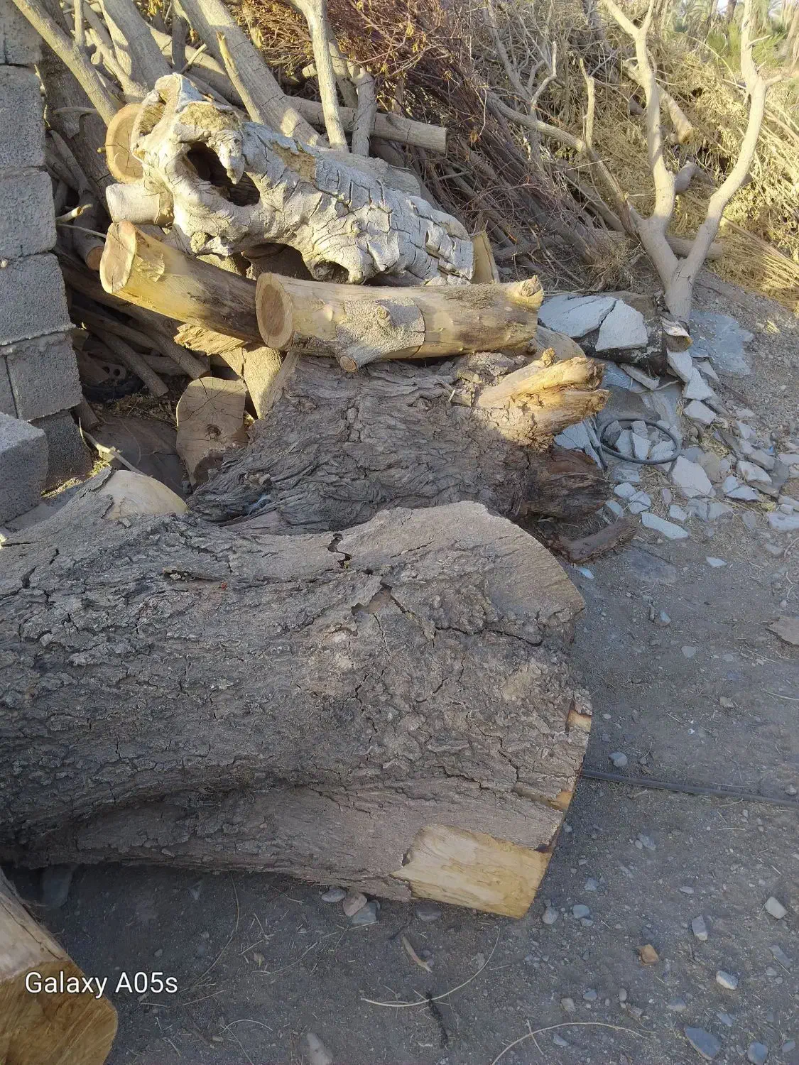 مقداری چوب درخت ابریشم یا شب خوس حدودا دوتن|مصالح و تجهیزات ساختمان|جیرفت, |دیوار