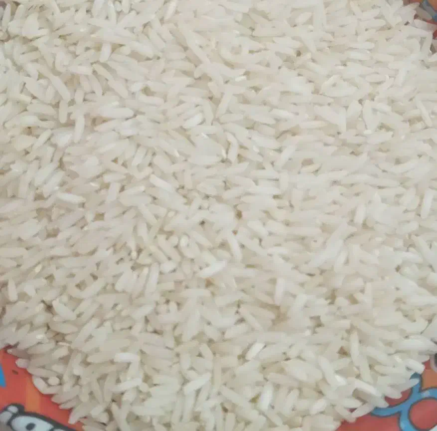 برنج هاشمی|خوردنی و آشامیدنی|رشت, ولکس|دیوار