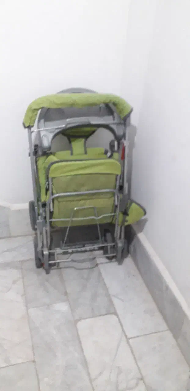 کالسکه|کالسکه و لوازم جانبی|کاشمر, |دیوار