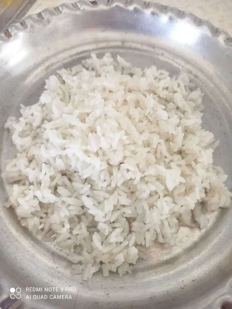 برنج گسترش و اروگوئه|خوردنی و آشامیدنی|نورآباد, |دیوار