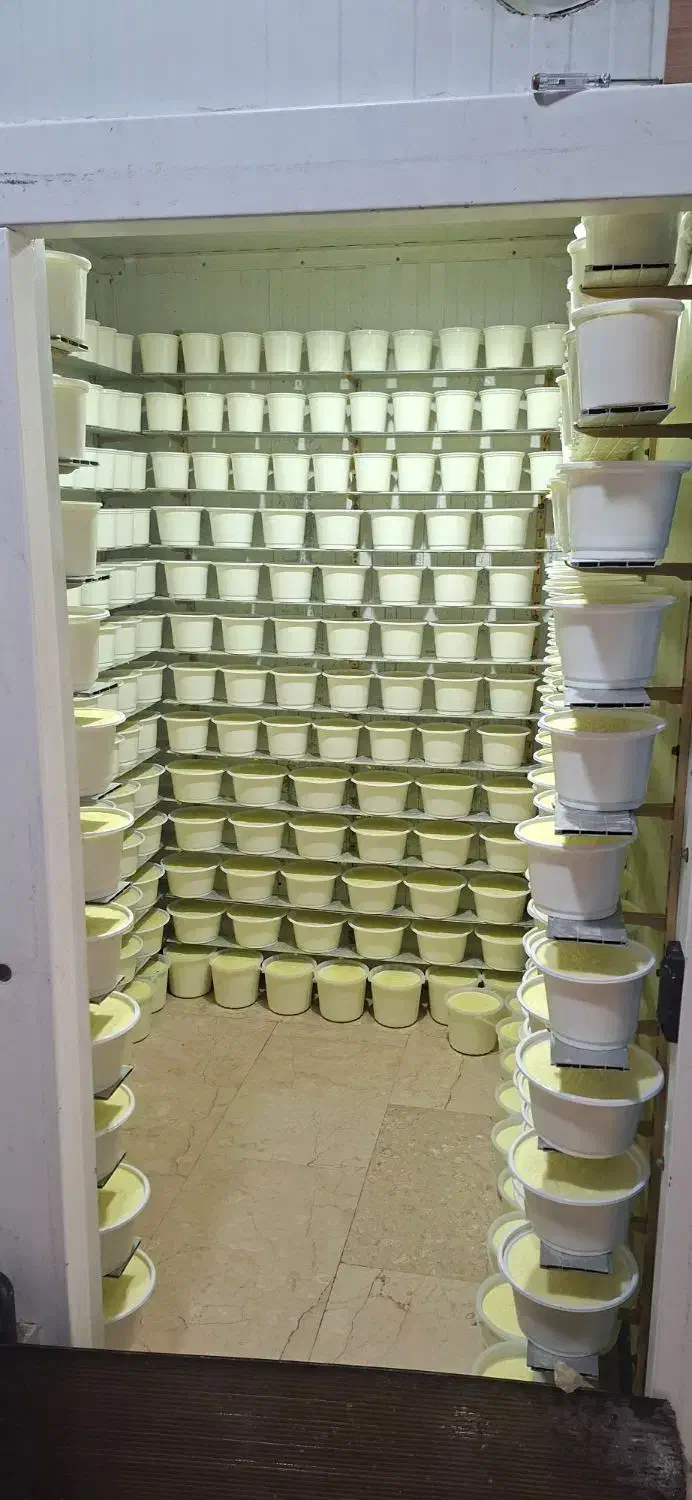 استخدام نیرو|استخدام خدمات فروشگاه و رستوران|تهران, تهرانپارس شرقی|دیوار