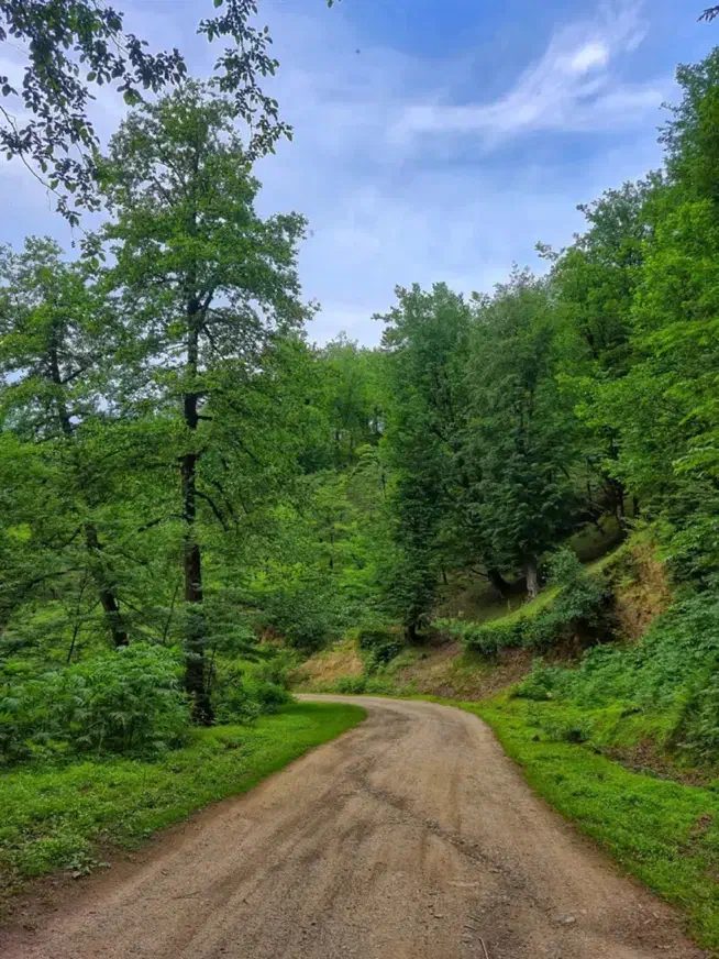 اجتمایی|حراج|سنگر, |دیوار