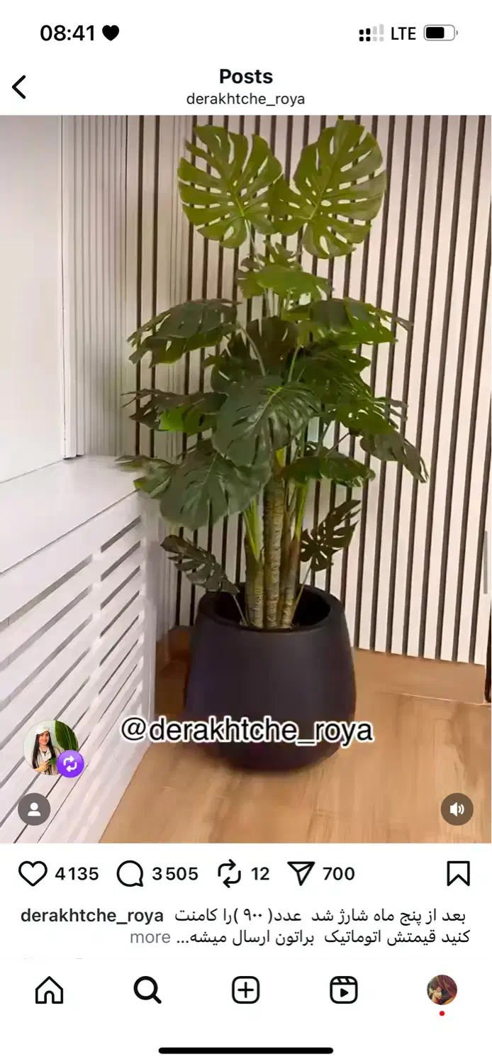 درخچه مصنوعی کاملا شبیه واقعی|گل و گیاه طبیعی|زنجان, |دیوار