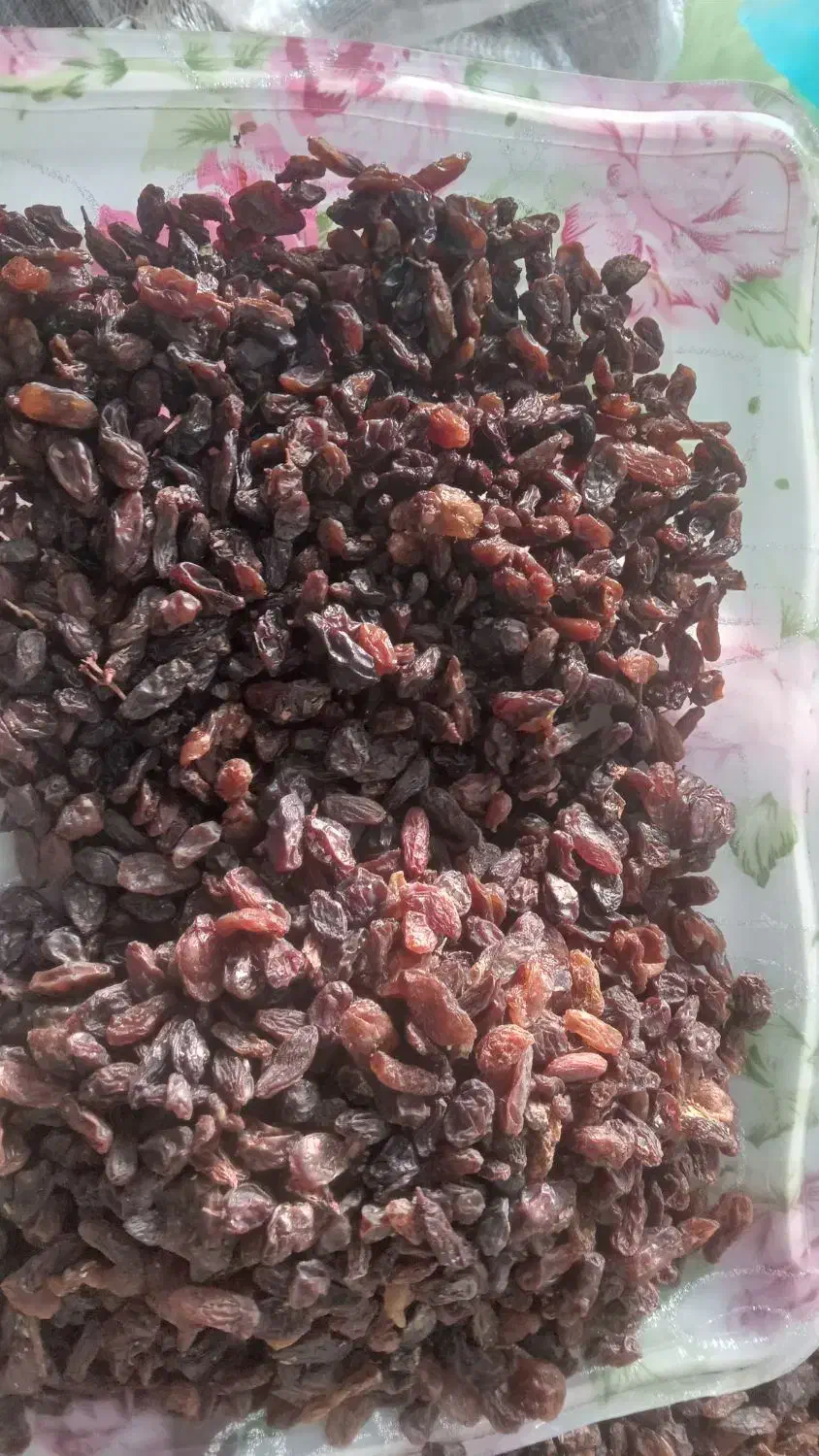 پخش کشمش افتابی سرکه ای|خوردنی و آشامیدنی|ارومیه, |دیوار