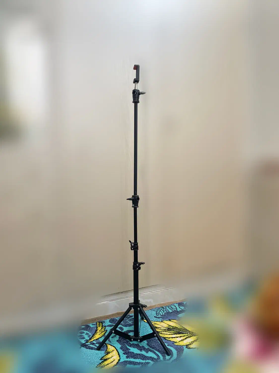 سه پایه دوربین|دوربین عکاسی و فیلم‌برداری|پاکدشت, پاکدشت (مامازند)|دیوار