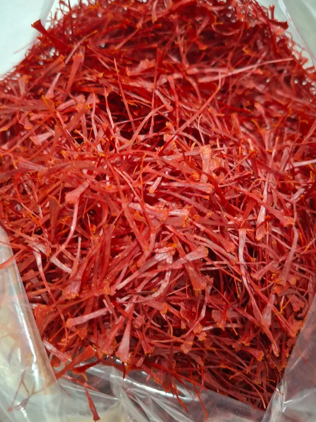 خشک کنی زعفران دکتر بهزاد جهانشیری|خدمات پیشه و مهارت|تربت‌حیدریه, شهید بهشتی|دیوار