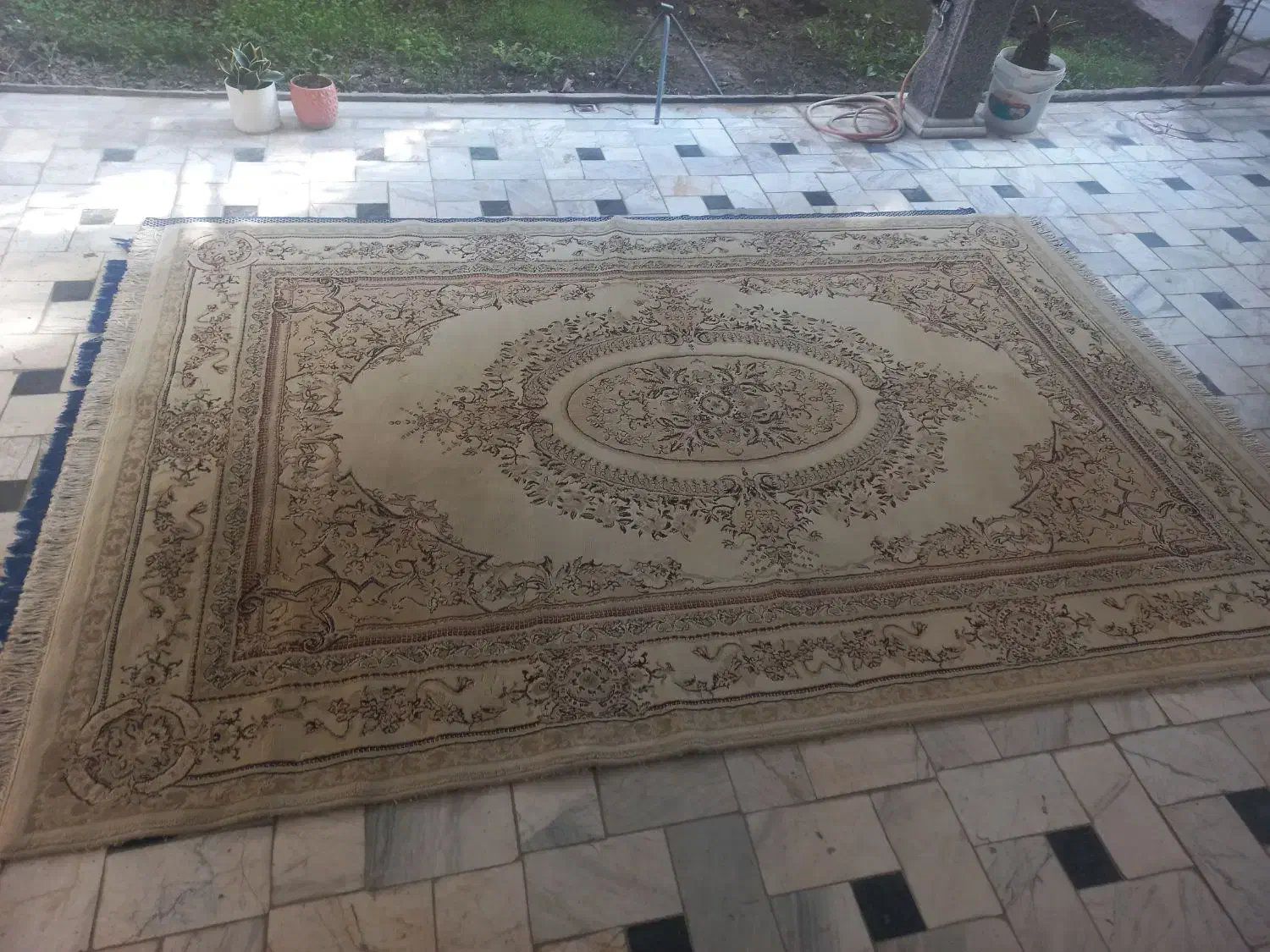 فرش 6 متری|فرش|بهشهر, |دیوار