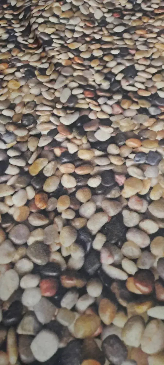 موکت نو|موکت|ایذه, |دیوار