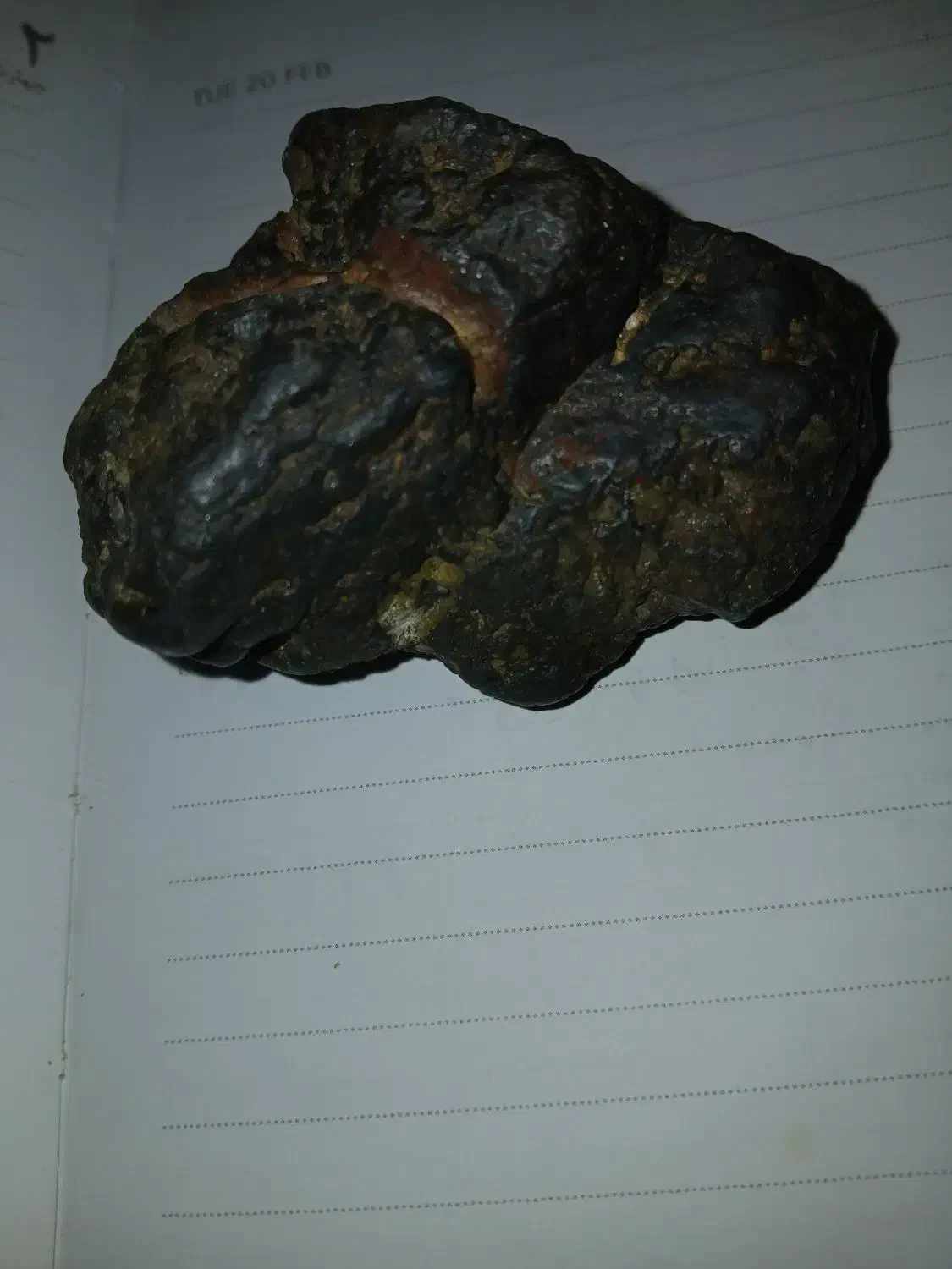 شهاب سنگ|کلکسیون اشیاء عتیقه|زنجان, |دیوار