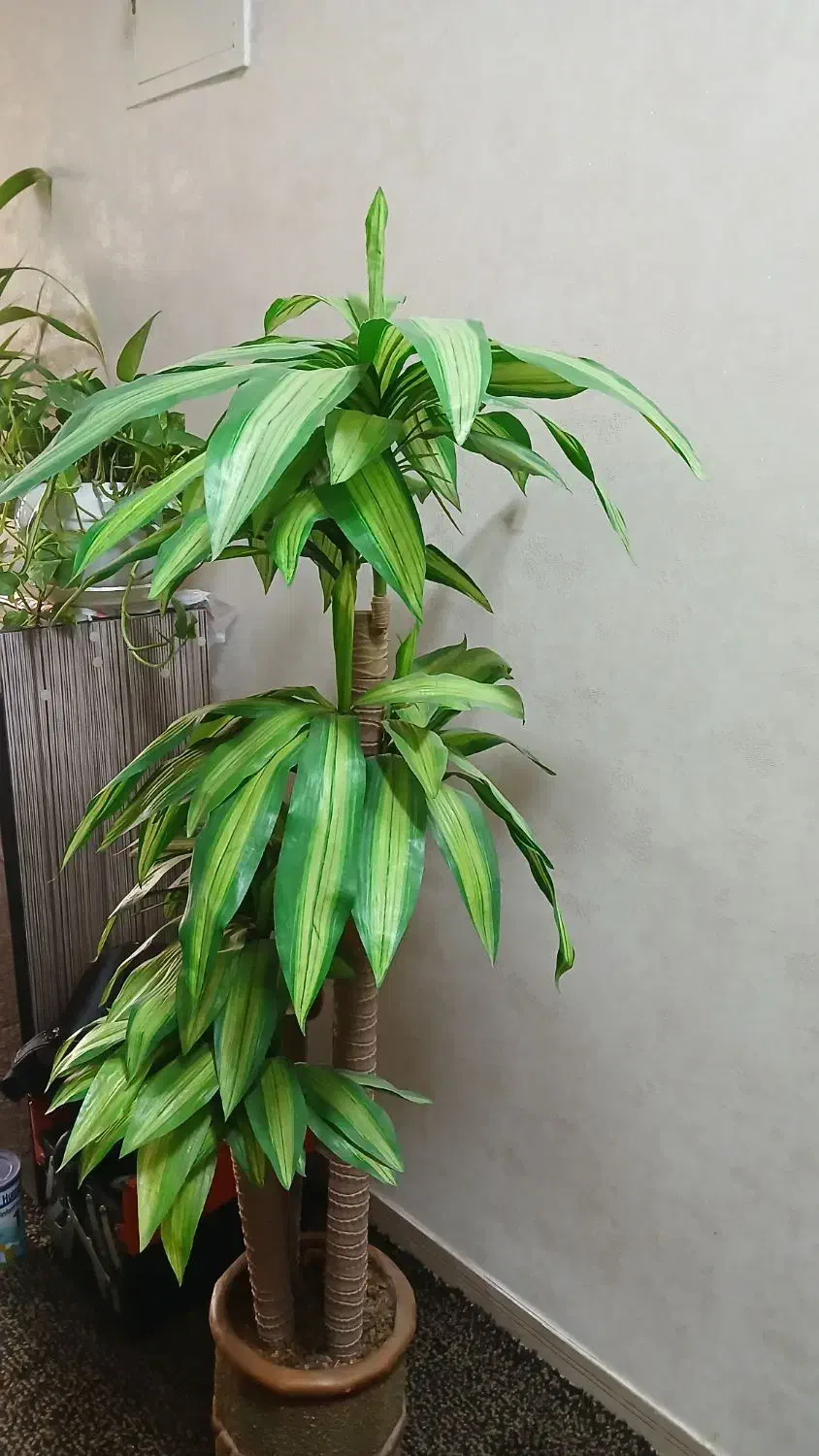 درختچه مصنوعی|گل مصنوعی|بهبهان, |دیوار