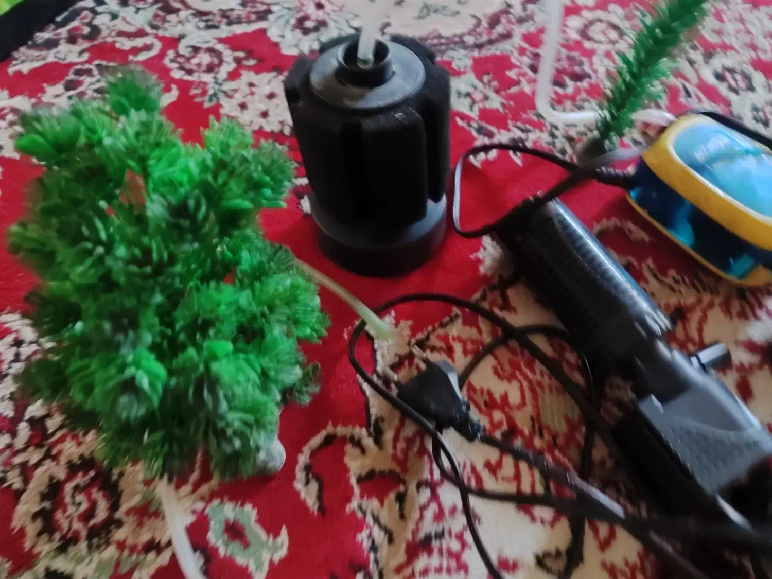 لوازم آکواریوم|ماهی|تبریز, |دیوار