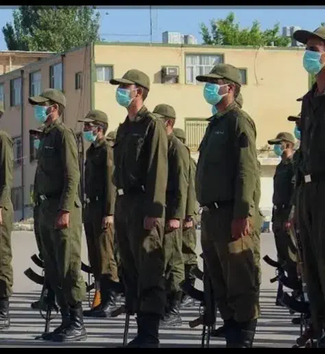 جابجایی سرباز نیرو انتظامی مبدا تهران مقصد گرگان|فعالیت داوطلبانه تحقیقاتی|گلستان (تهران), |دیوار