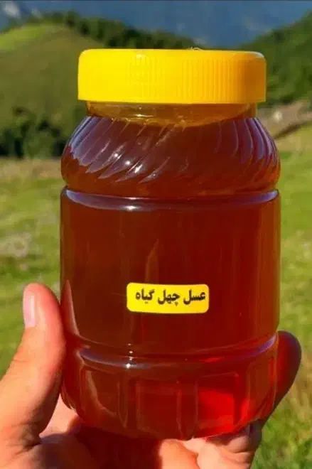 گلبهار|خوردنی و آشامیدنی|گلبهار, شهر جدید گلبهار|دیوار