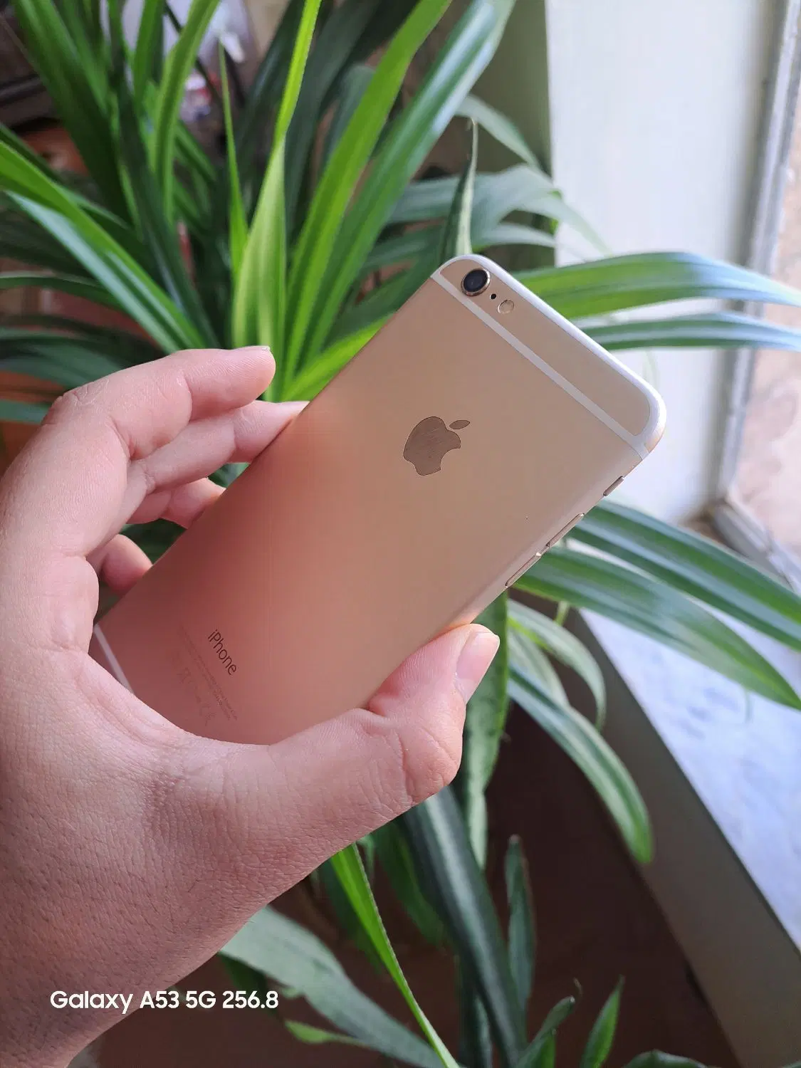ایفون 6s+|موبایل|سرپل ذهاب, |دیوار