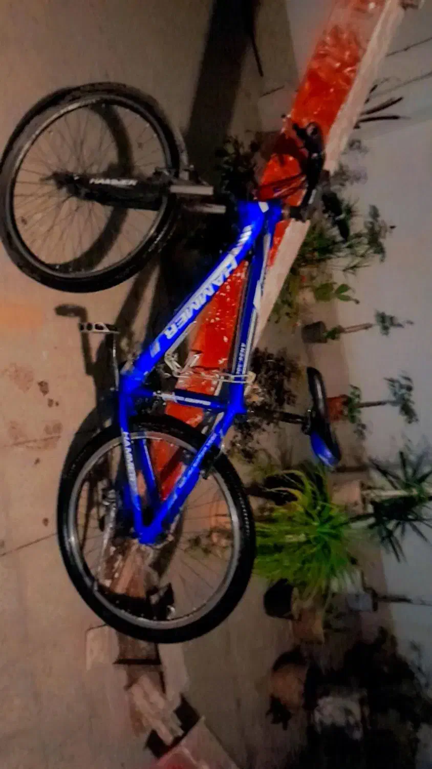 دوچرخه|دوچرخه، اسکیت، اسکوتر|پردیس, فاز ۸|دیوار