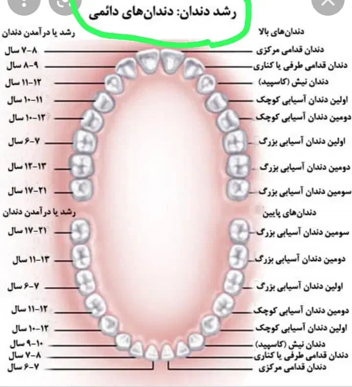 دستیار و منشی|استخدام درمانی، زیبایی، بهداشتی|اهواز, نادری|دیوار