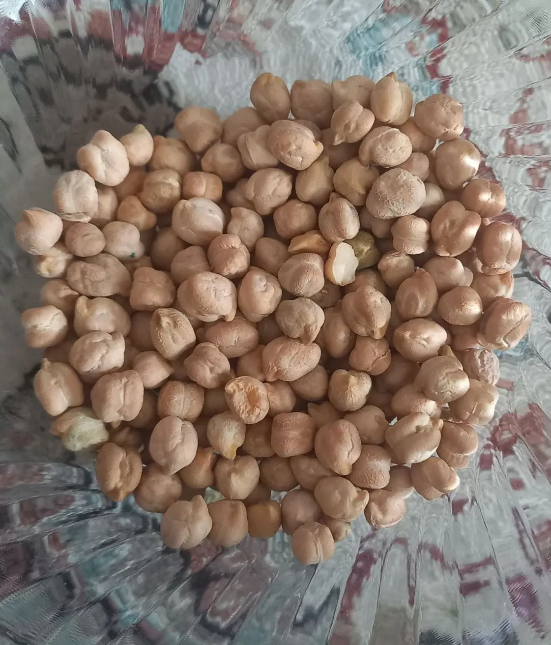 نخود|خوردنی و آشامیدنی|کرج, حسین‌آباد|دیوار