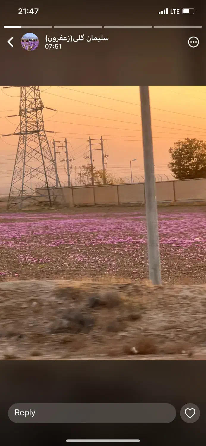 تدریس خصوصی ریاضی|خدمات آموزشی|قشم, |دیوار