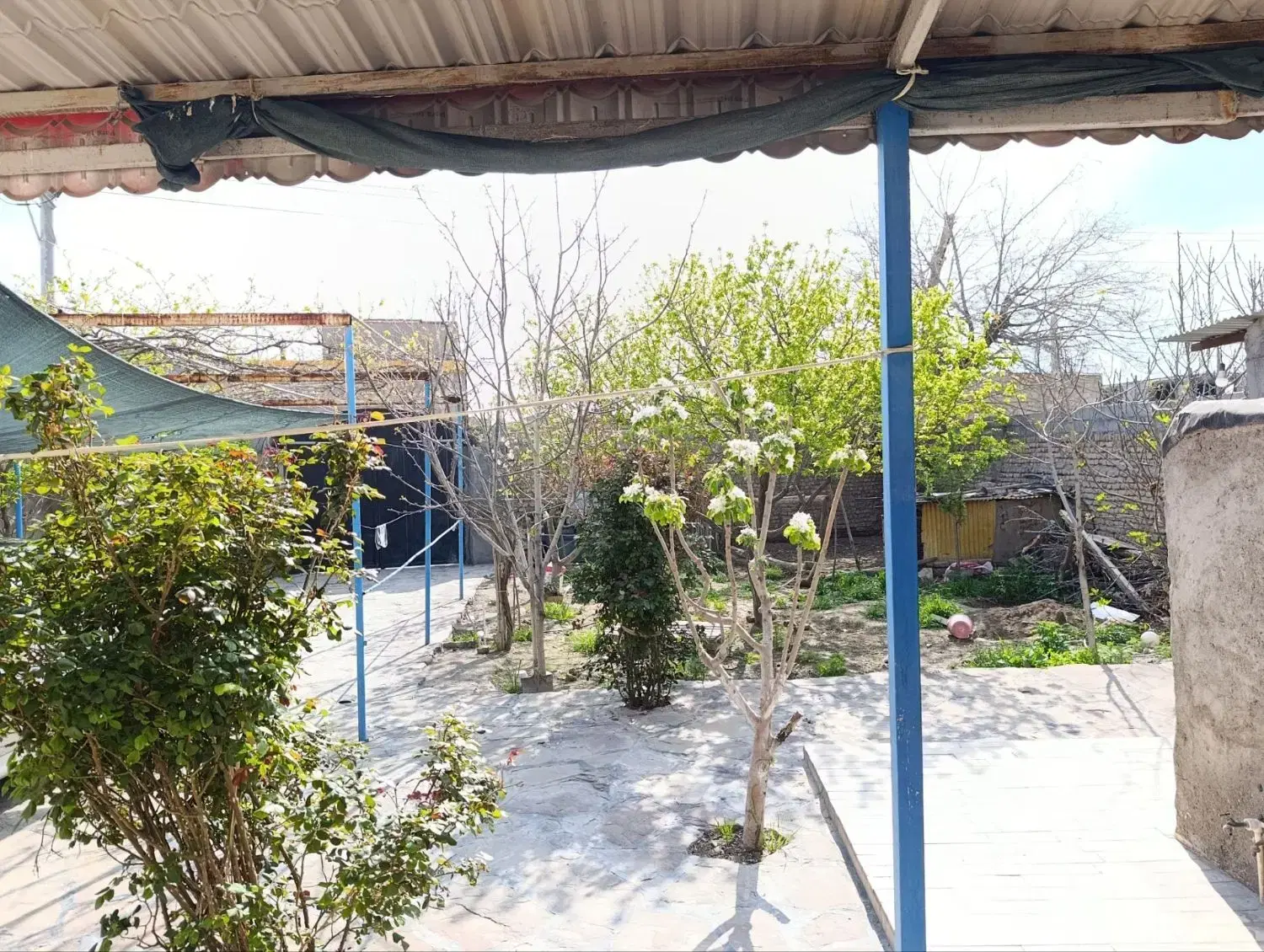 تصویر 7