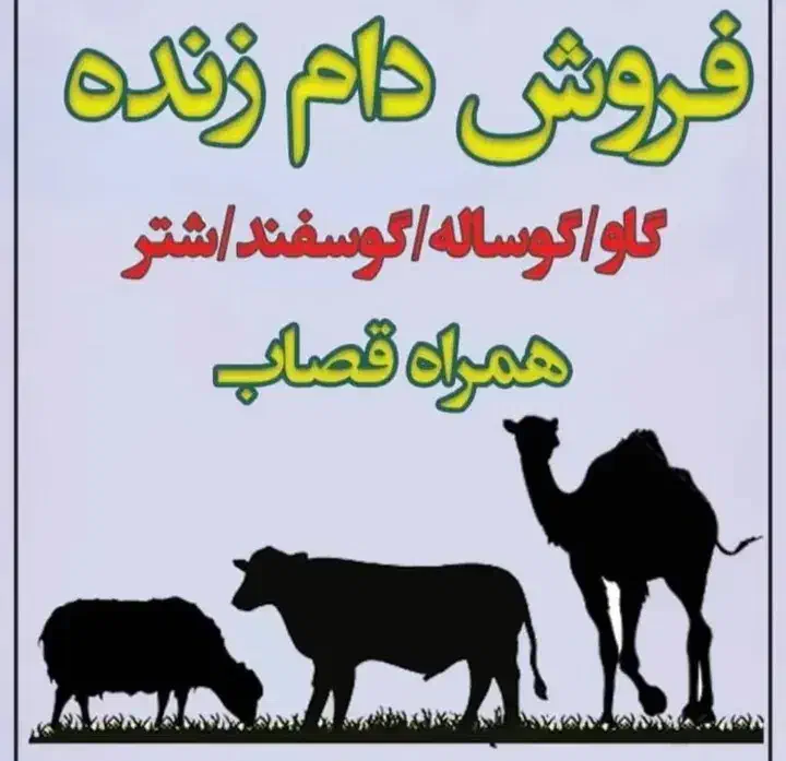 کشتار گاو گوسفند و شتر در محل|حیوانات مزرعه|تهران, زرگنده|دیوار