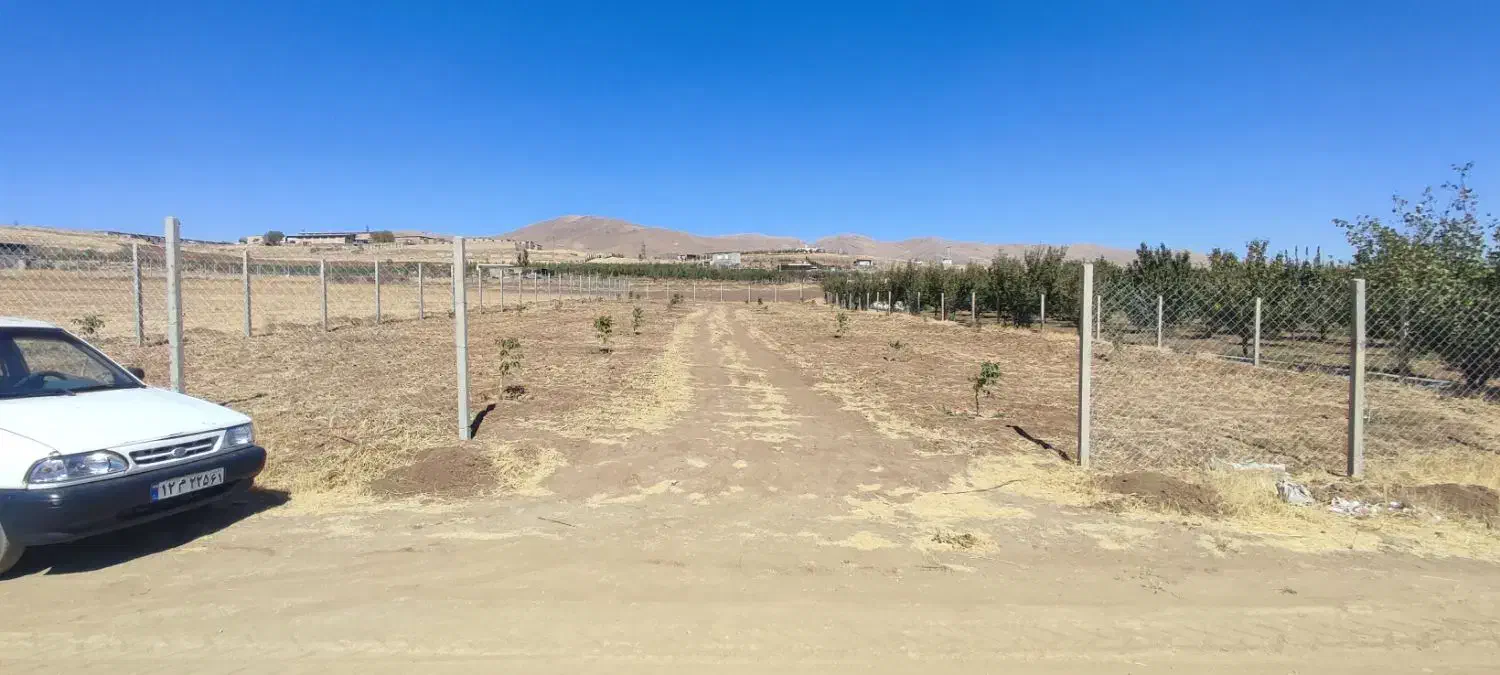 باغ نیمه کاره درجه ۱|فروش زمین و ملک کلنگی|سقز, |دیوار