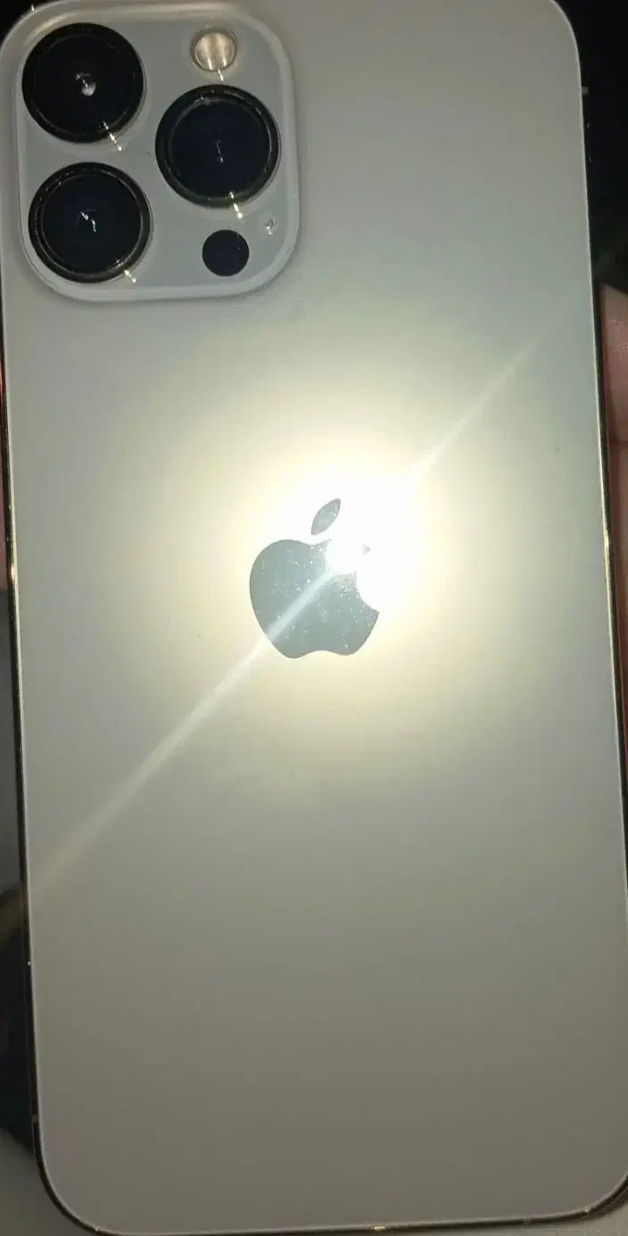 ایفون ۱۳ پرومکس|موبایل|دورود, |دیوار