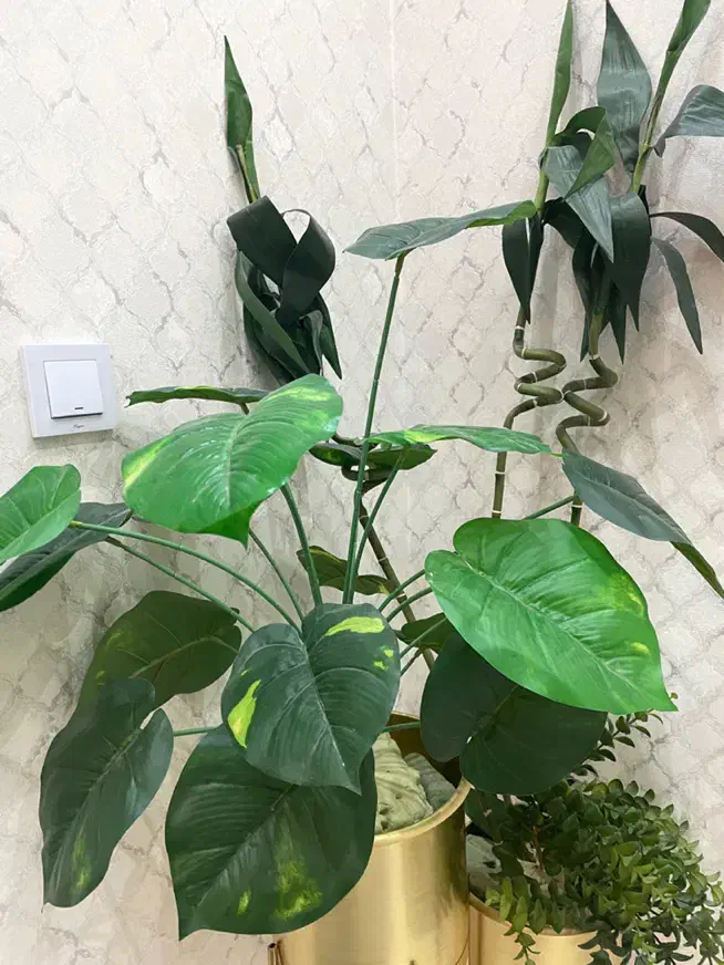 گل و پایه  مصنوعی|گل مصنوعی|دورود, |دیوار