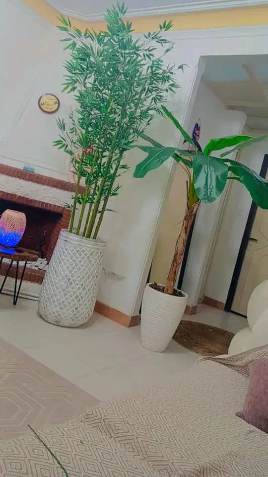 درخت بامبو مصنوعی|گل مصنوعی|رشت, گلسار|دیوار